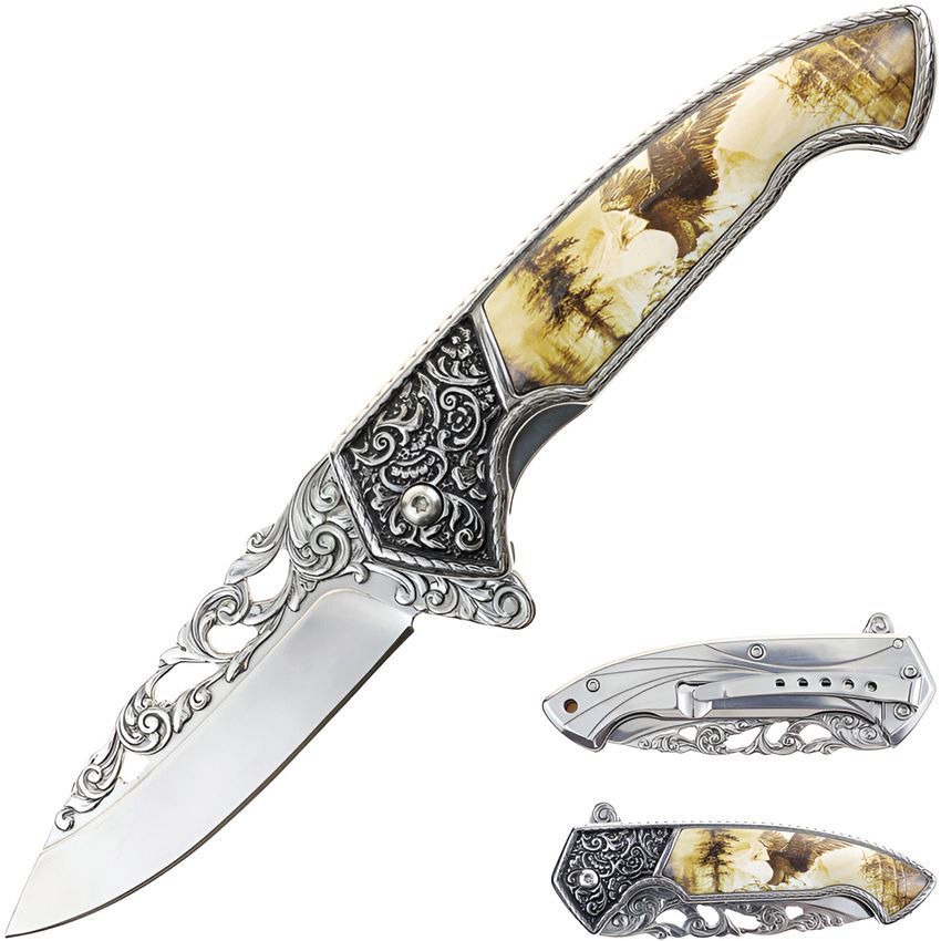 Spring assisted tactical folding knife with etched eagle design, model T 27801-EG, by Rex Distributor Inc.