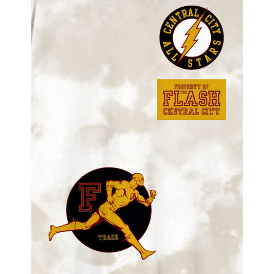 Men's Flash Central City Patches Crew Neck Short Sleeve Light Birch Wash Tee T-Shirt