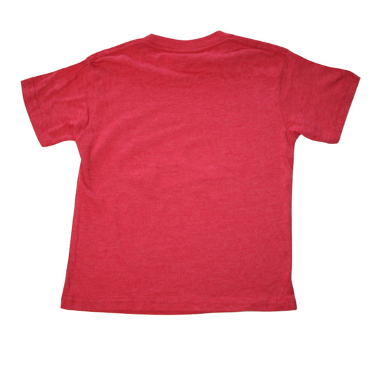 Boys Sonic The Hedgehog Classic T-Shirt Tee - Rex Distributor, Inc. Wholesale Licensed Products and T-shirts, Sporting goods,