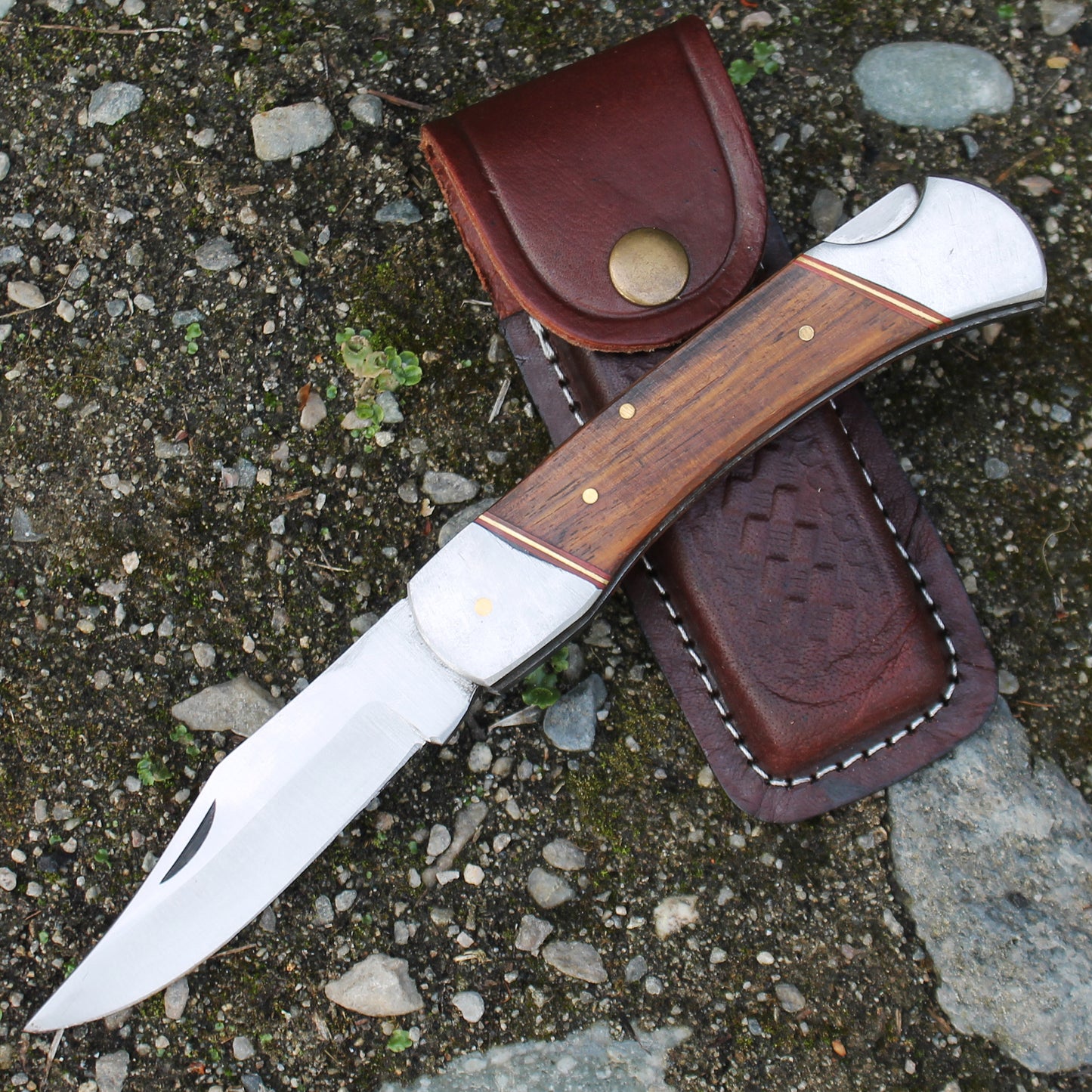 Rex Distributor PK 116-WD 5-inch wood handle folding pocket knife with sheath, featuring a manual folding blade and durable design.