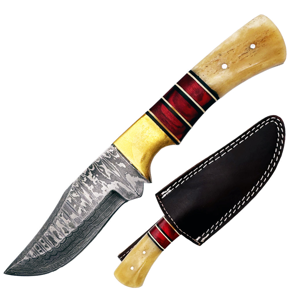 BC 843-DB 9" Brass Red Wood Bone Collector Damascus Blade Hunting Knife with Leather Sheath