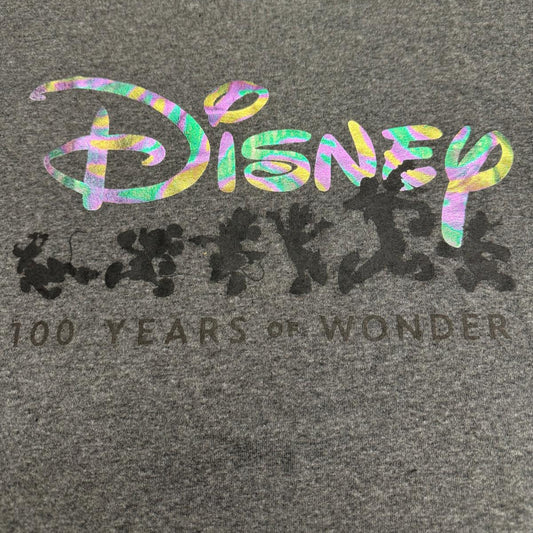 Adults Disney 100 Years of Wonder T-Shirt