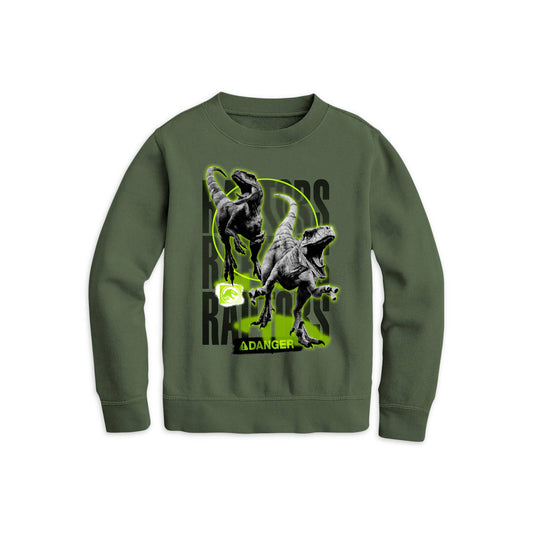 Boys Green Jurassic Park Raptor Graphic Sweatshirt Sweater