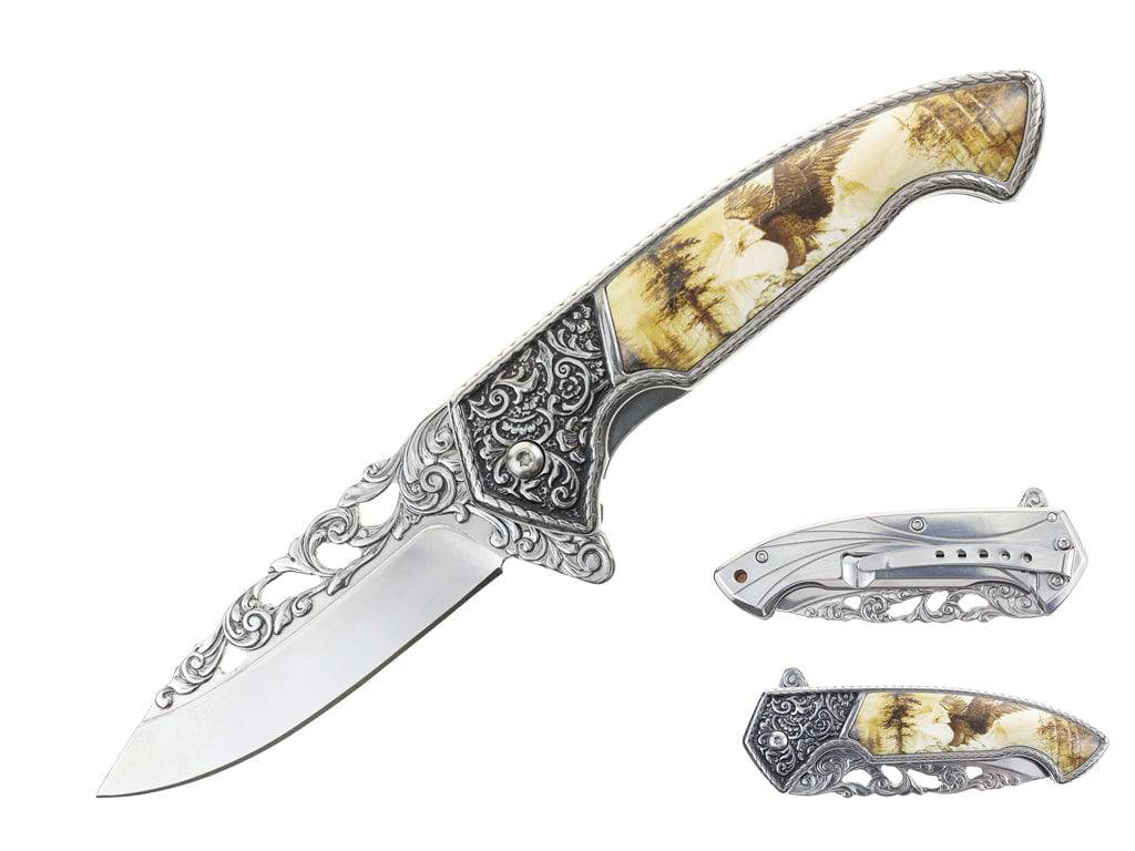 Rex Distributor spring-assisted tactical folding knife with 5-inch goose etched design blade, assist-open mechanism, black handle.