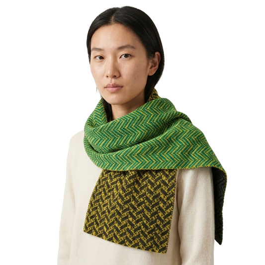 Multicolor Laundry by Shelli Segal 38-inch scarf, lightweight accessories with vibrant pattern and soft fabric.