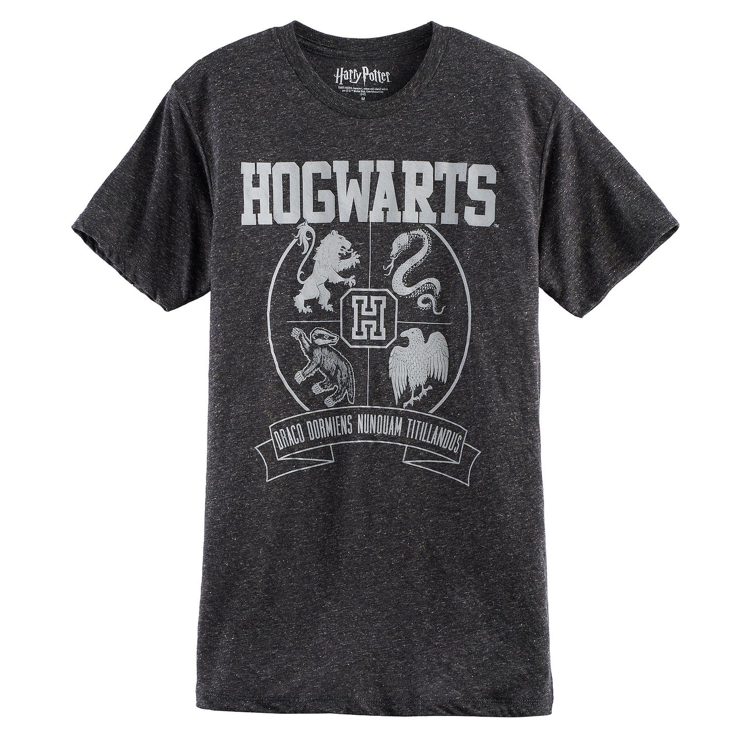 Men's Harry Potter Hogwarts Crest graphic T-shirt by Mad Engine, featuring a detailed crest design on a casual shirt.