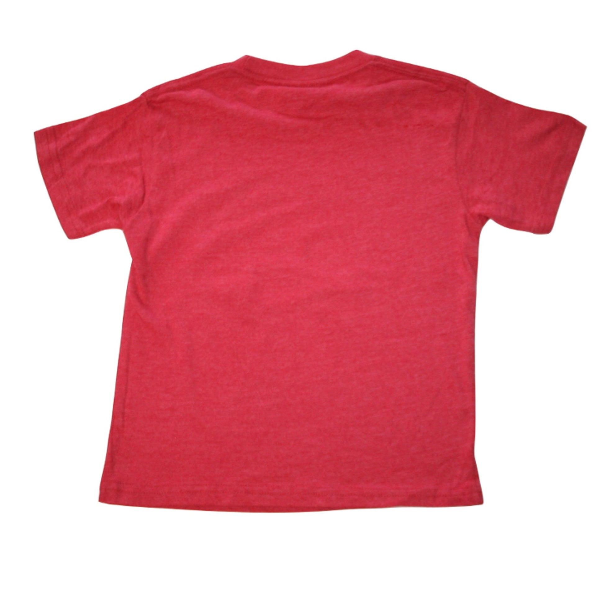 Boys Sonic The Hedgehog Classic T-Shirt Tee - Rex Distributor, Inc. Wholesale Licensed Products and T-shirts, Sporting goods,