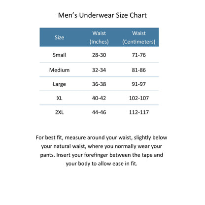 Men's distressed American flag boxer brief underwear by Bioworld, featuring bold flag design and comfortable fit.