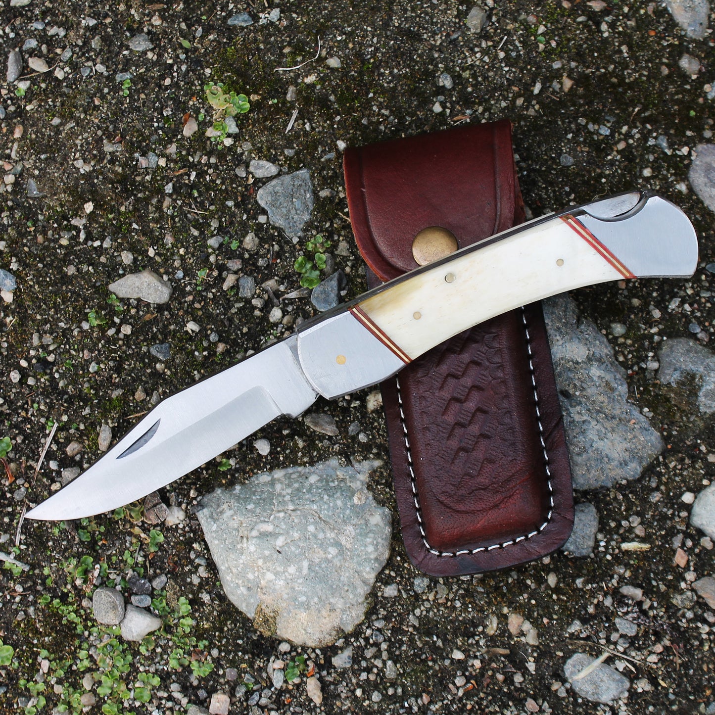 PK 116-BN 5" White Bone Handle Folding Pocket Knife with Leather Sheath