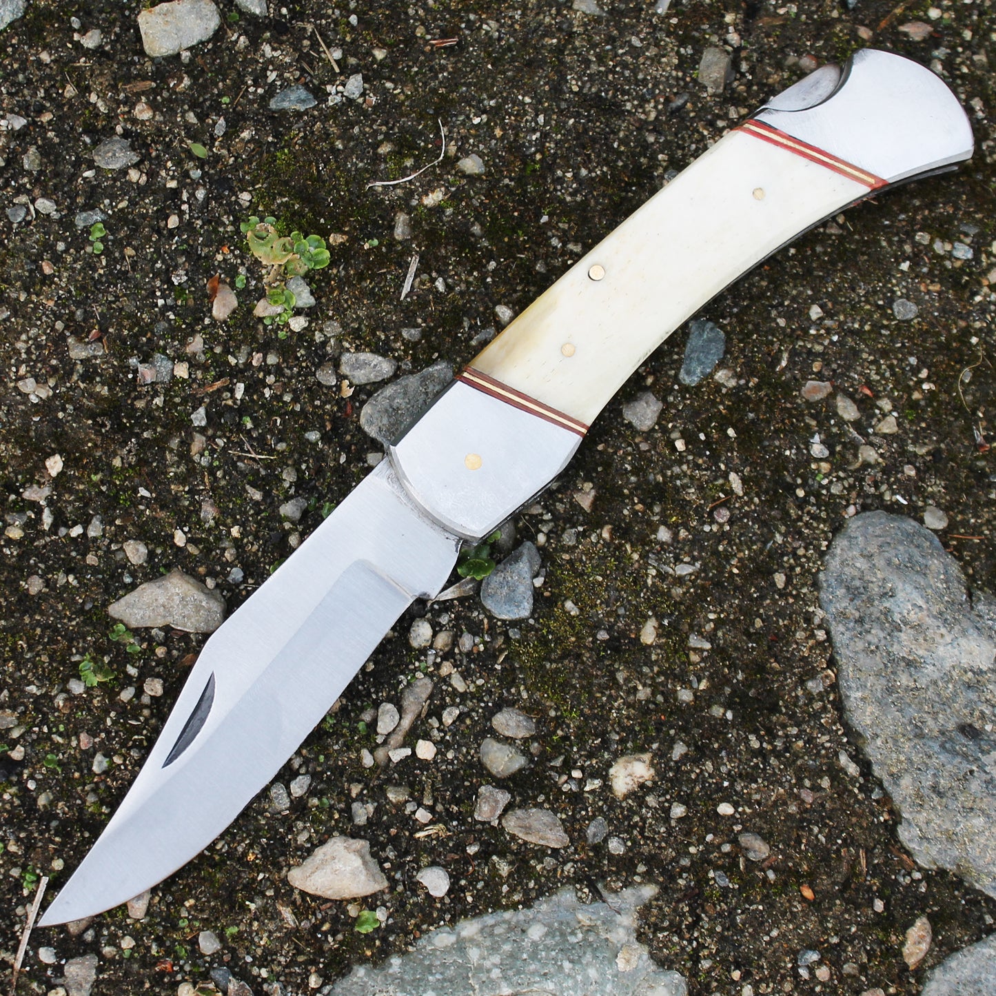 PK 116-BN 5" White Bone Handle Folding Pocket Knife with Leather Sheath