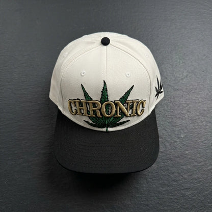 Bioworld Retro 90s West Coast Hip Hop Snapback Hat | Adult Streetwear Cap