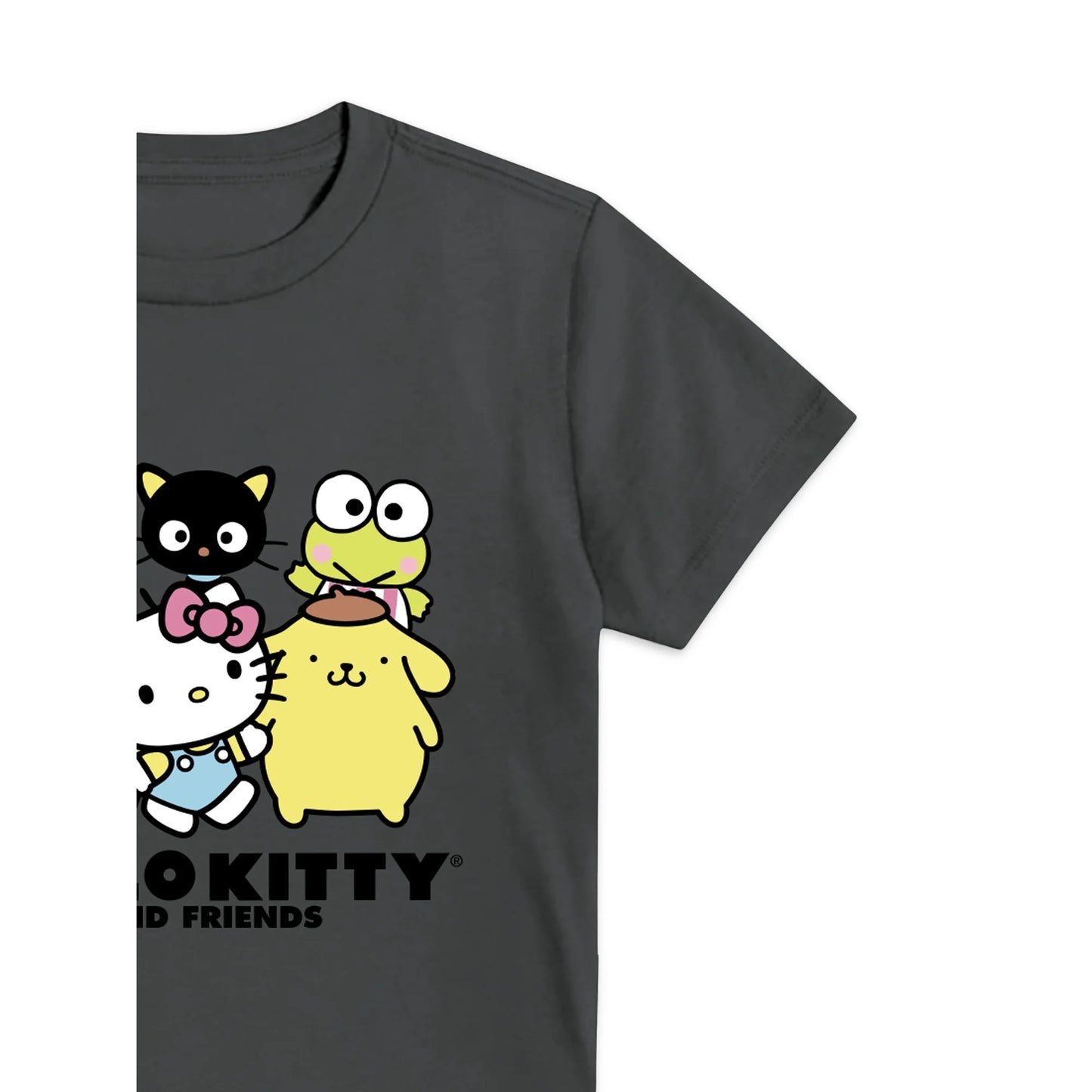 Youth Kids Sanrio Hello Kitty Crew Neck, Short Sleeve, Graphic T-Shirt
