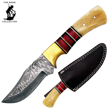 BC 843-DB 9" Brass Red Wood Bone Collector Damascus Blade Hunting Knife with Leather Sheath