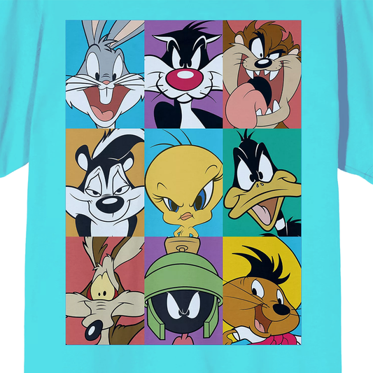 Men's crew neck T-shirt featuring Looney Tunes characters in frames, from Rex Distributor, Inc.
