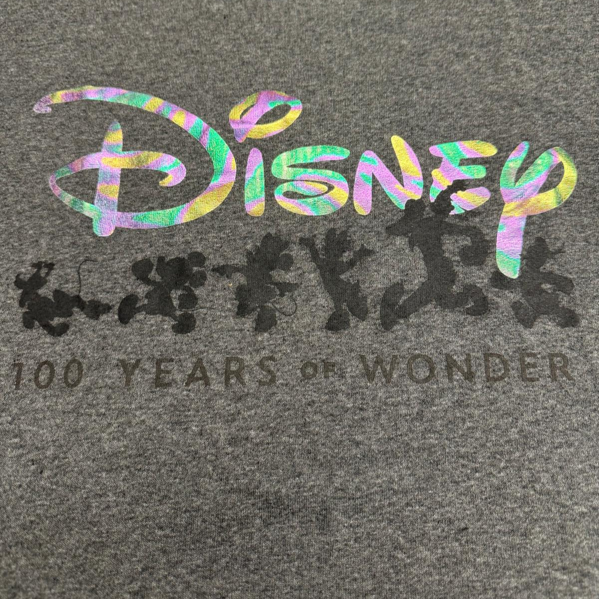 Adults Disney 100 Years of Wonder T-Shirt