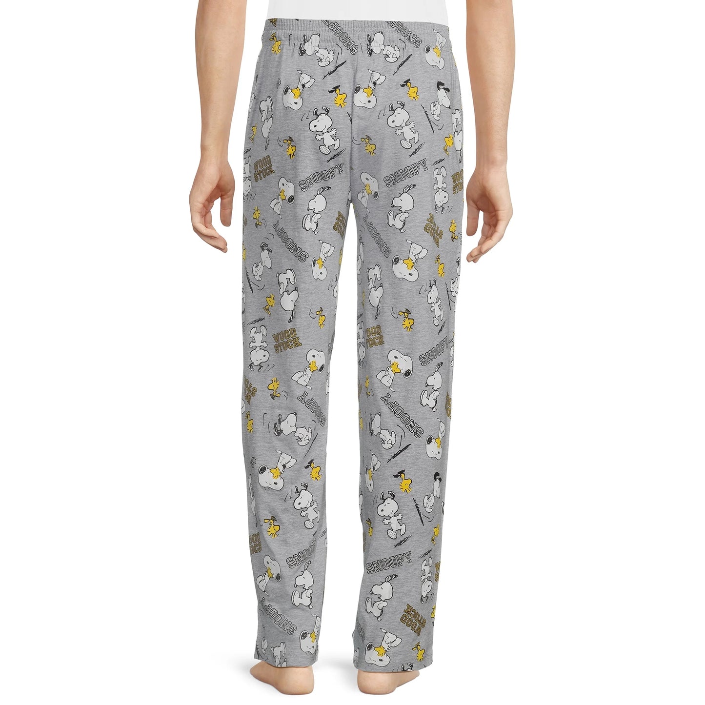 Men's Peanuts Snoopy Woodstock Graphic Sleep Pants