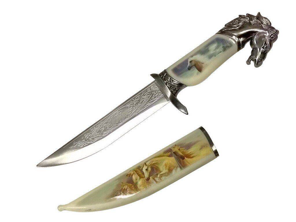 T 224840-HR 13 3/4″ Medieval Dagger with Graphic Printed Scabbard – Horse - Rex Distributor, Inc. Wholesale Licensed Products and T-shirts, Sporting goods,