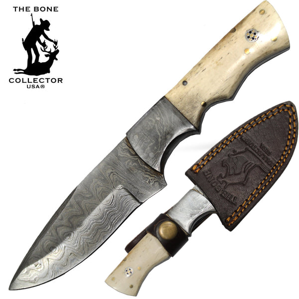 BC HKDB-19BN 8" Damascus Blade Bone Collector Bovine Handle Hunting Knife with Leather Sheath