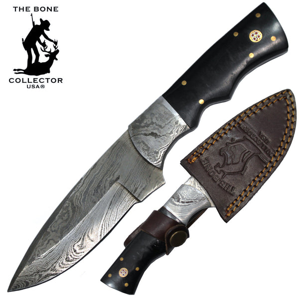 BC HKDB-19HR 8" Damascus Blade Bone Collector Bovine Horn Handle Hunting Knife with Leather Sheath