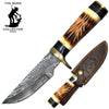 BC HKDB-20 10" Damascus Blade Bone Collector Burn Bovine Handle Hunting Knife with Leather Sheath